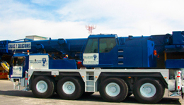 grua100