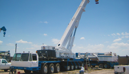 grua300